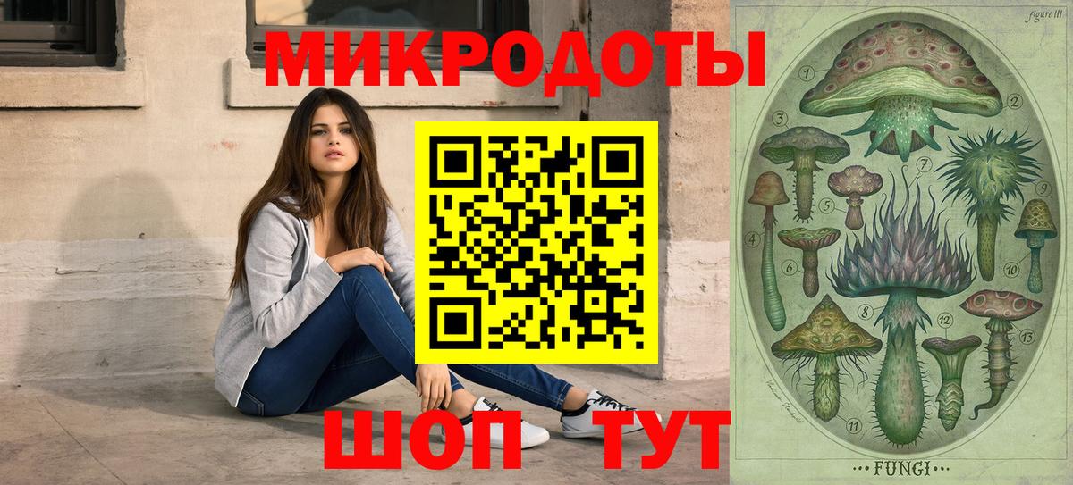 Псилоцибиновые грибы Cubensis  Вход с VPN  Архангельск 