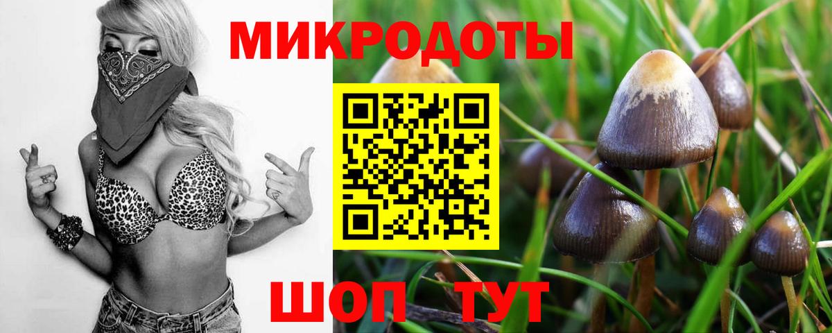 Галлюциногенные грибы Cubensis Архангельск